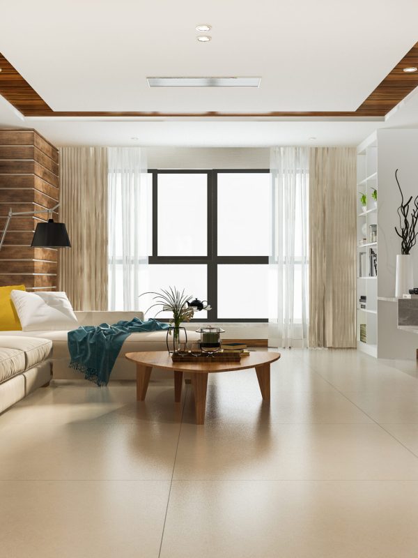 3d rendering loft luxury living room with bookshelf near bookshelf